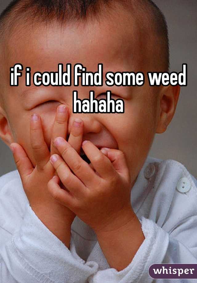 if i could find some weed hahaha