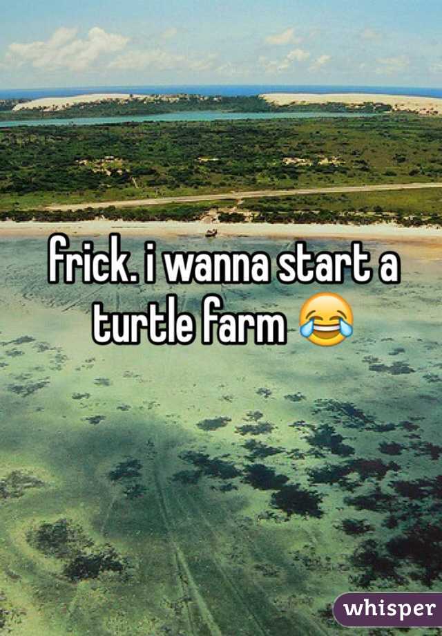 frick. i wanna start a turtle farm 😂