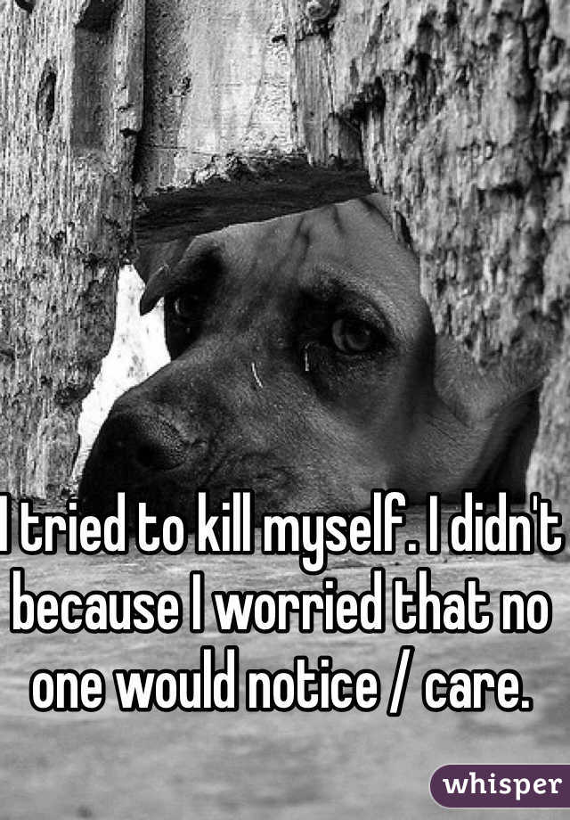 I tried to kill myself. I didn't because I worried that no one would notice / care.