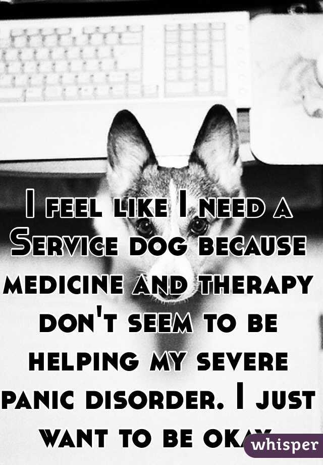 I feel like I need a Service dog because medicine and therapy don't seem to be helping my severe panic disorder. I just want to be okay. 