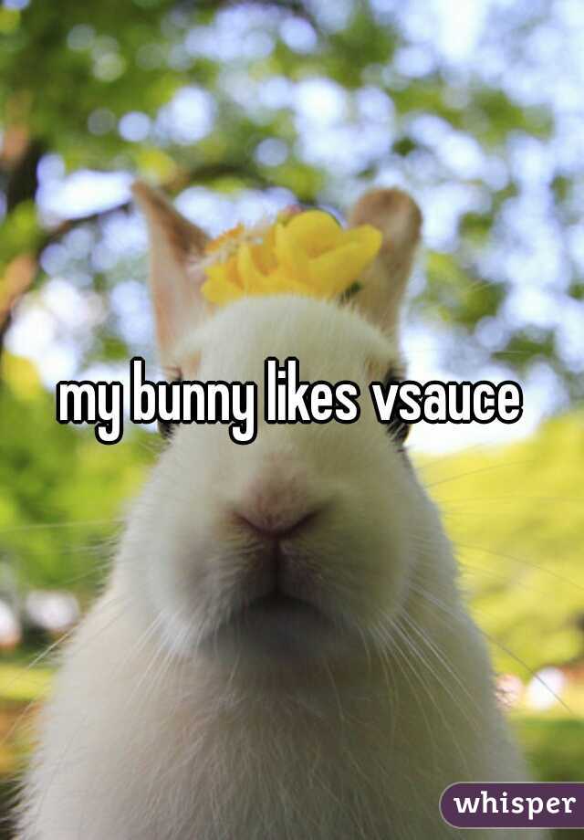 my bunny likes vsauce