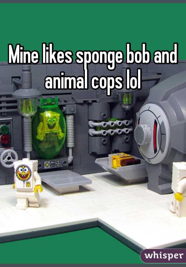 Mine likes sponge bob and animal cops lol 