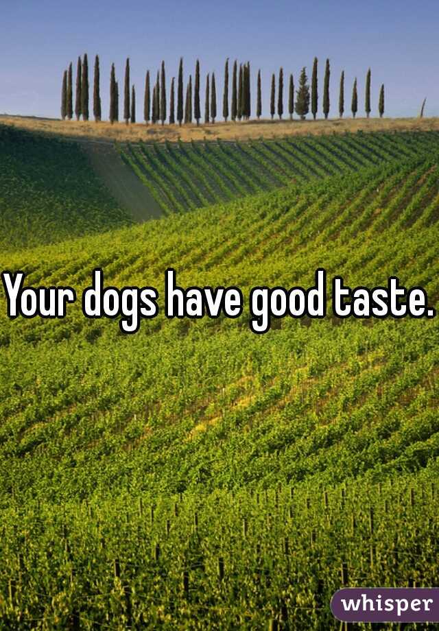 Your dogs have good taste.