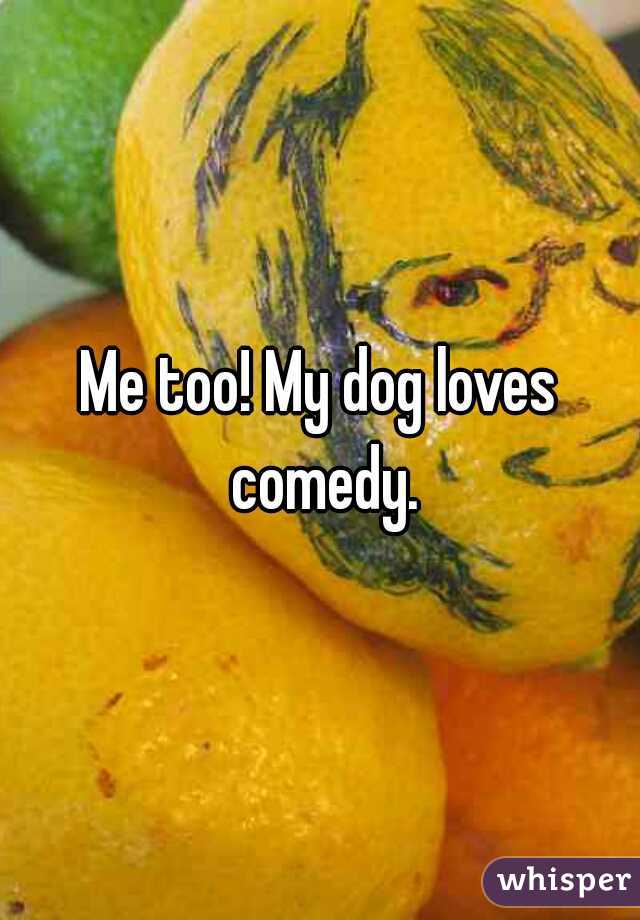 Me too! My dog loves comedy.