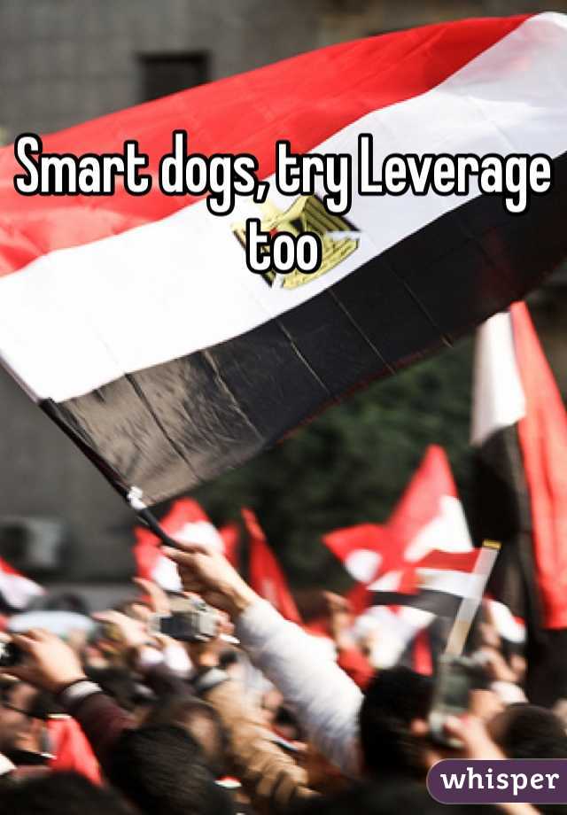 Smart dogs, try Leverage too