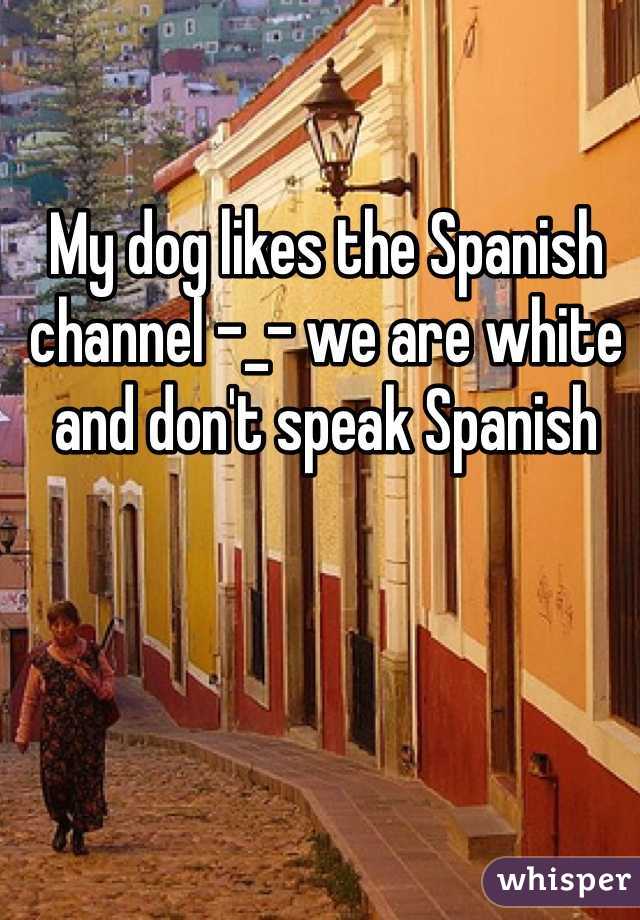 My dog likes the Spanish channel -_- we are white and don't speak Spanish