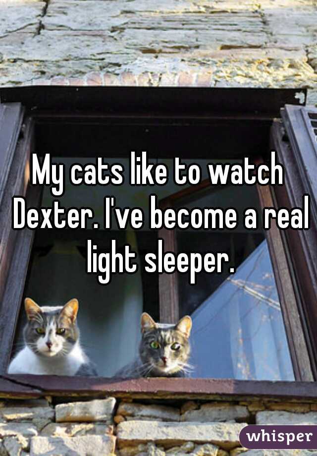 My cats like to watch Dexter. I've become a real light sleeper.