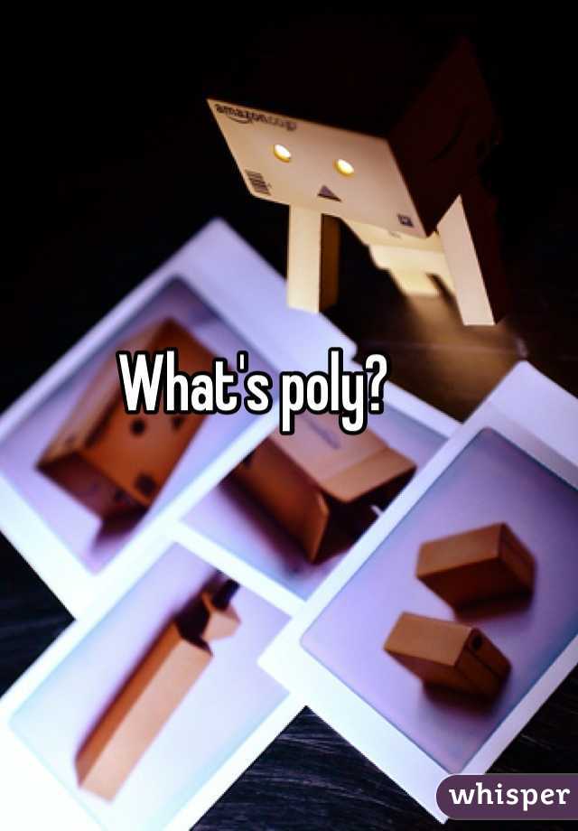 What's poly?