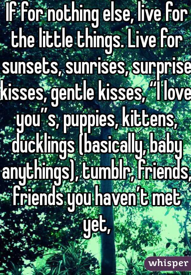 If for nothing else, live for the little things. Live for sunsets, sunrises, surprise kisses, gentle kisses, “I love you”s, puppies, kittens, ducklings (basically, baby anythings), tumblr, friends, friends you haven’t met yet, 