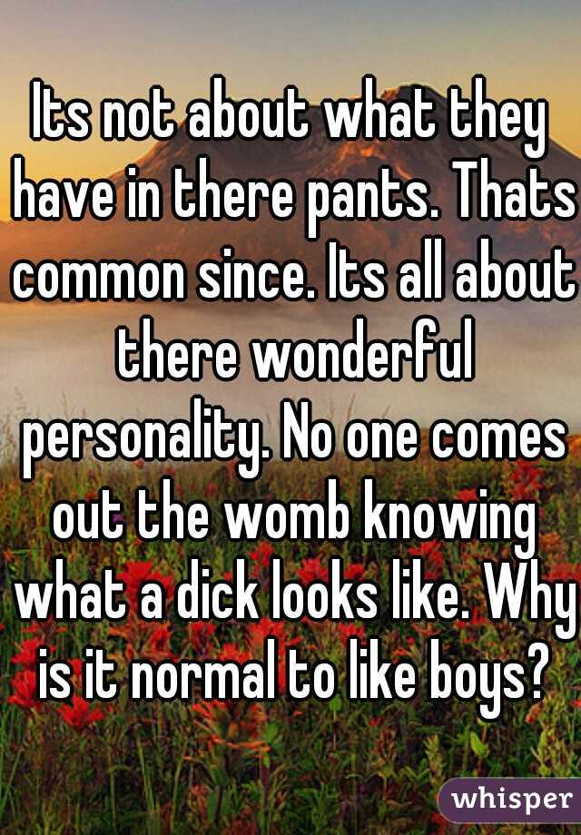 Its not about what they have in there pants. Thats common since. Its all about there wonderful personality. No one comes out the womb knowing what a dick looks like. Why is it normal to like boys?