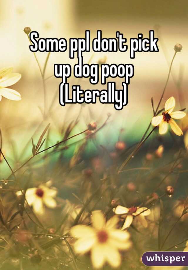 Some ppl don't pick 
up dog poop
(Literally)