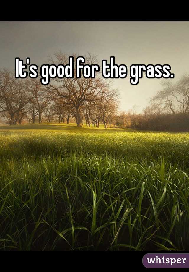 It's good for the grass.