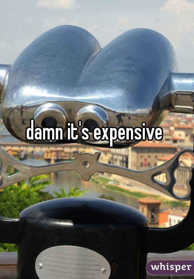 damn it's expensive 