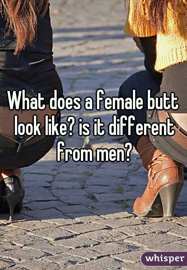 What does a female butt look like? is it different from men?