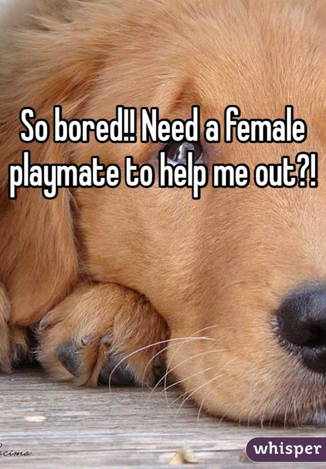 So bored!! Need a female playmate to help me out?!
