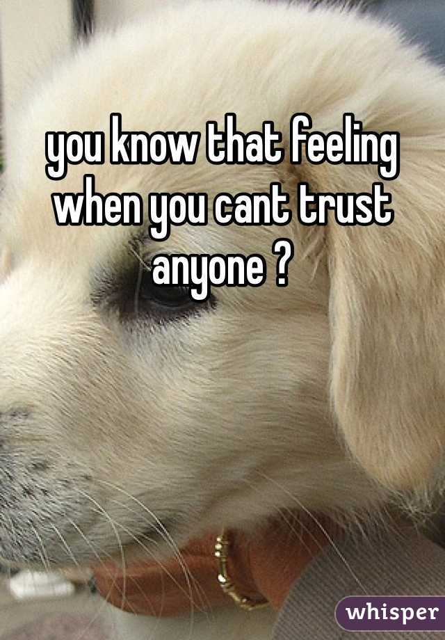 you know that feeling when you cant trust anyone ? 