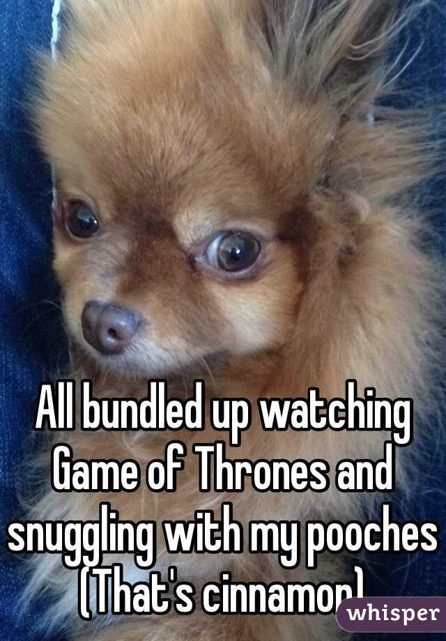 All bundled up watching Game of Thrones and snuggling with my pooches
(That's cinnamon) 