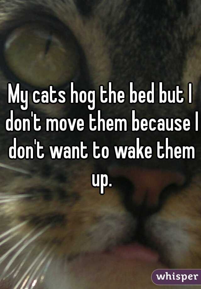My cats hog the bed but I don't move them because I don't want to wake them up.