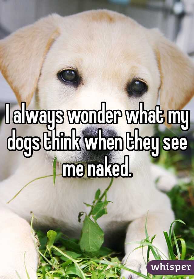 I always wonder what my dogs think when they see me naked. 