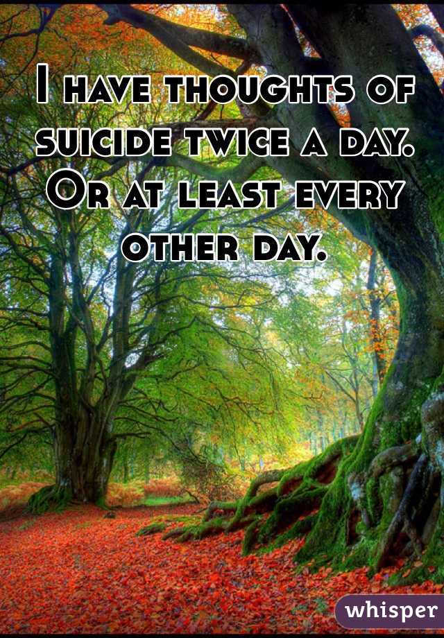 I have thoughts of suicide twice a day. Or at least every other day. 