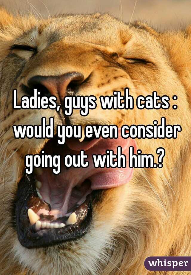 Ladies, guys with cats : would you even consider going out with him.? 