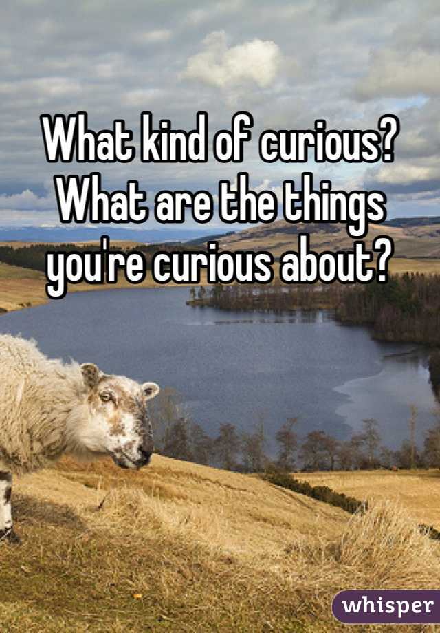 What kind of curious? What are the things you're curious about?