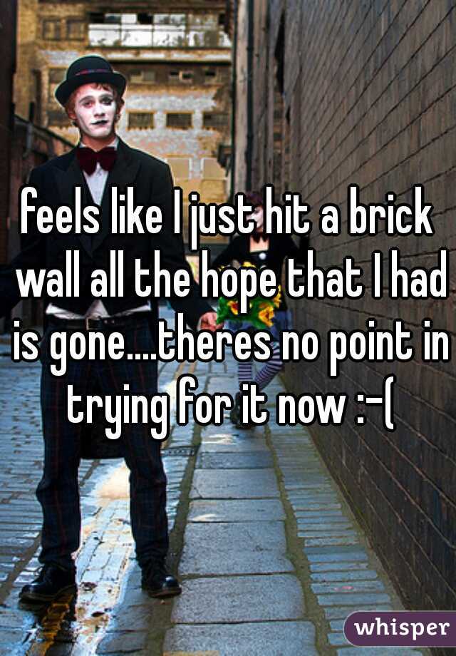 feels like I just hit a brick wall all the hope that I had is gone....theres no point in trying for it now :-(