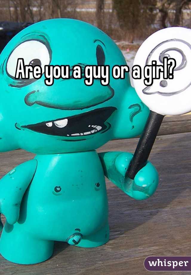 Are you a guy or a girl? 