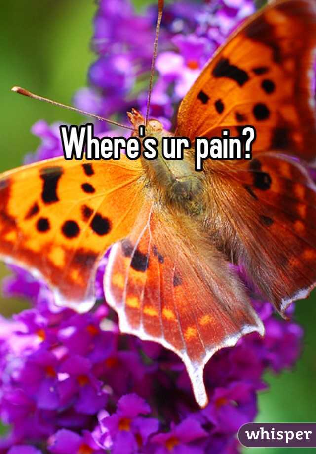 Where's ur pain?