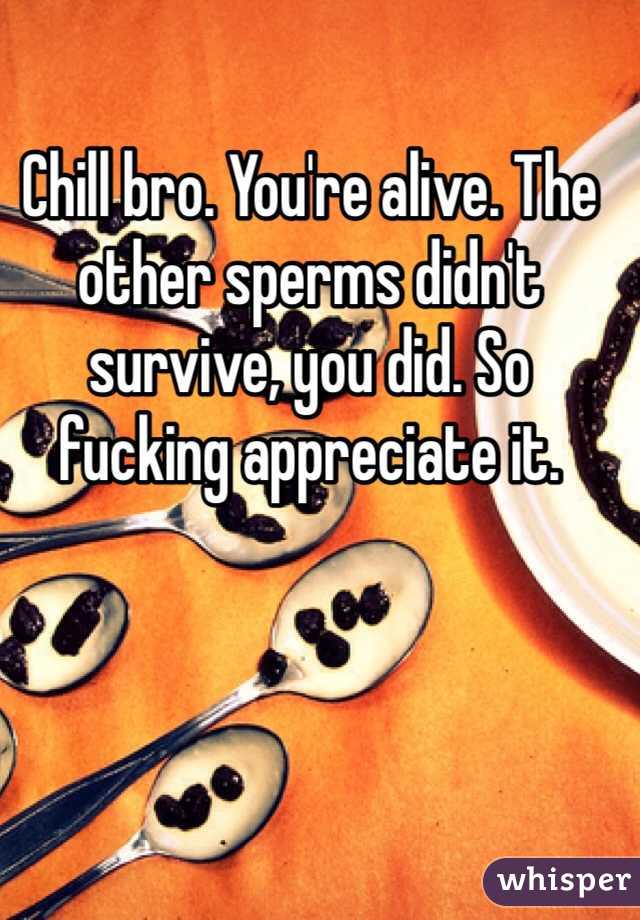 Chill bro. You're alive. The other sperms didn't survive, you did. So fucking appreciate it. 