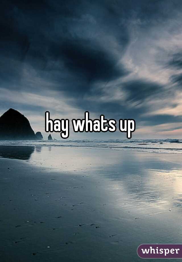 hay whats up