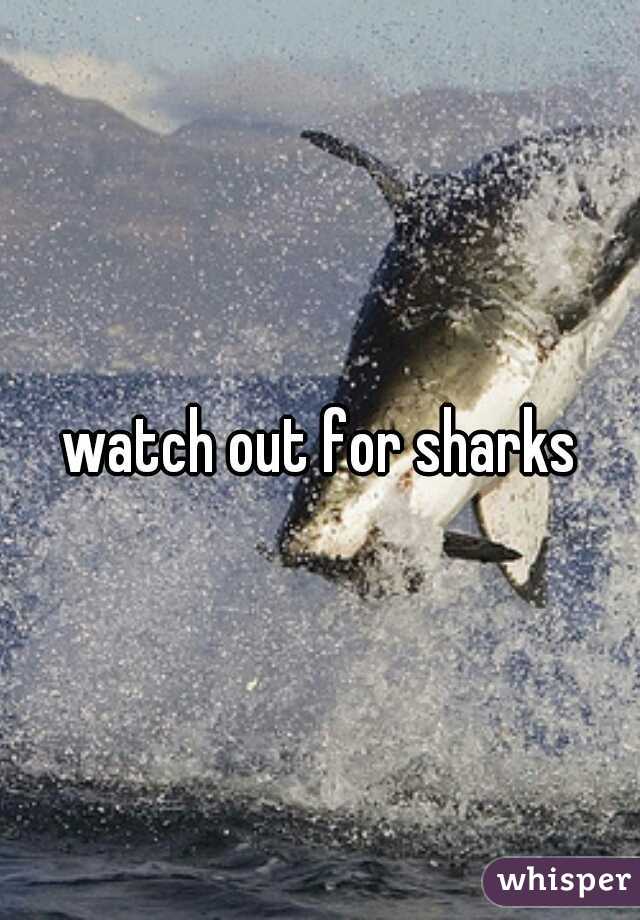 watch out for sharks