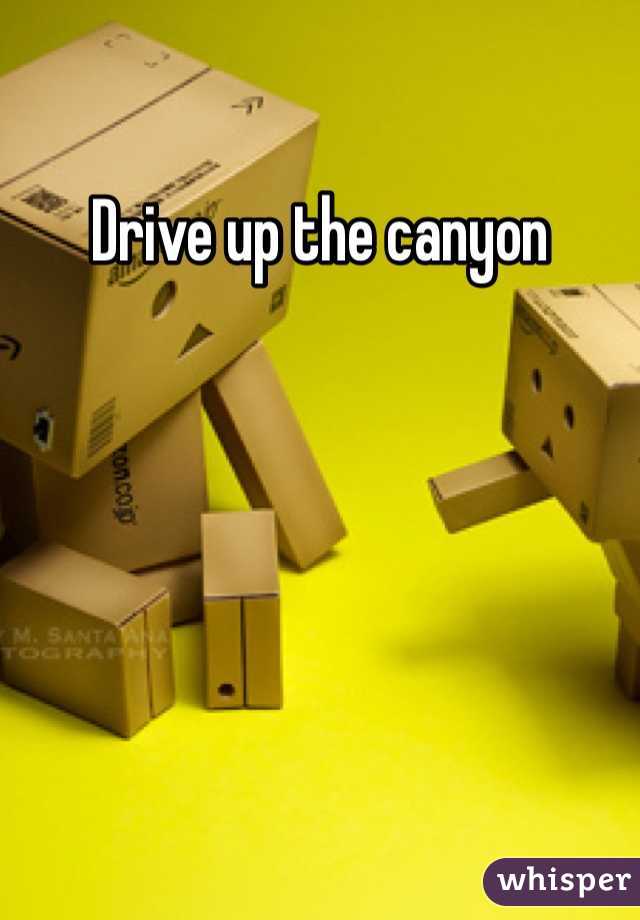 Drive up the canyon