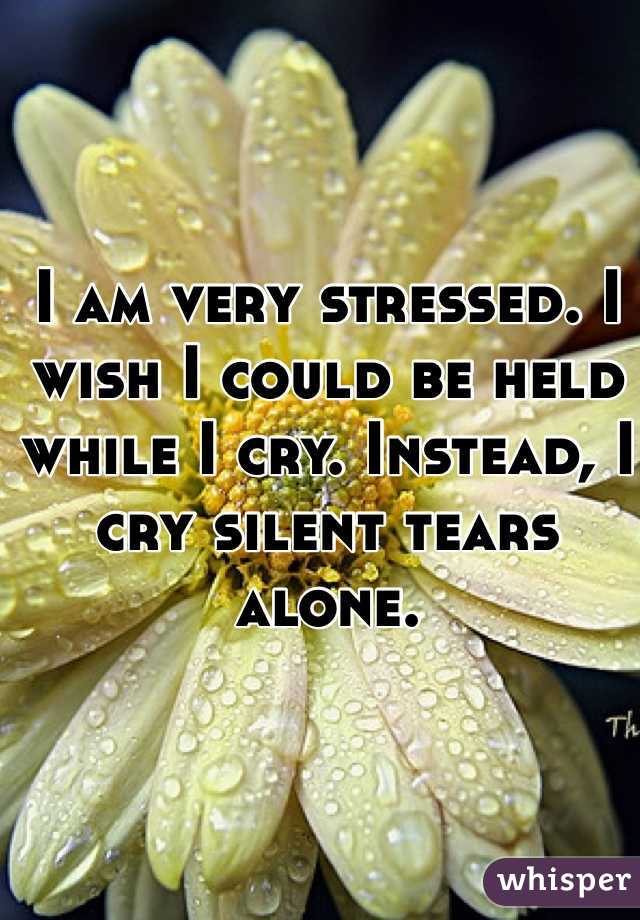 I am very stressed. I wish I could be held while I cry. Instead, I cry silent tears alone. 