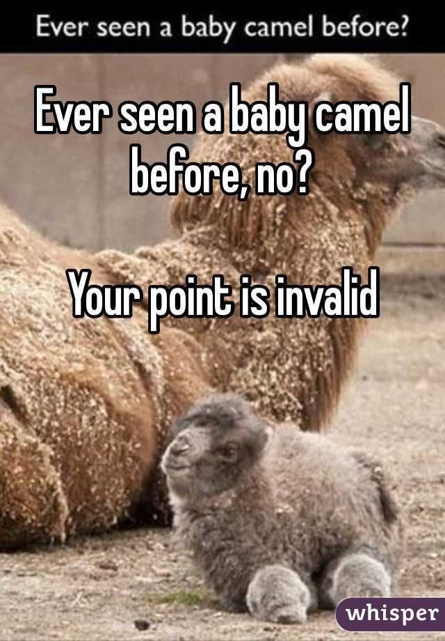 Ever seen a baby camel before, no? 

Your point is invalid 