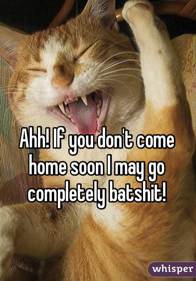 Ahh! If you don't come home soon I may go completely batshit!