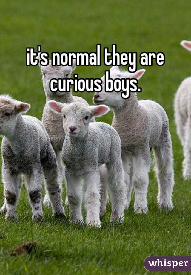it's normal they are curious boys. 