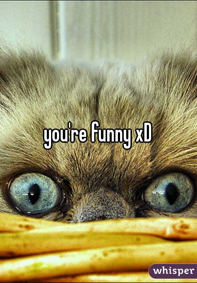 you're funny xD