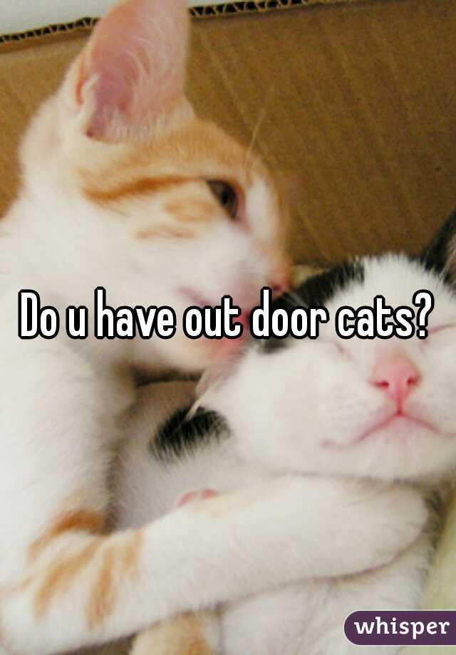 Do u have out door cats?