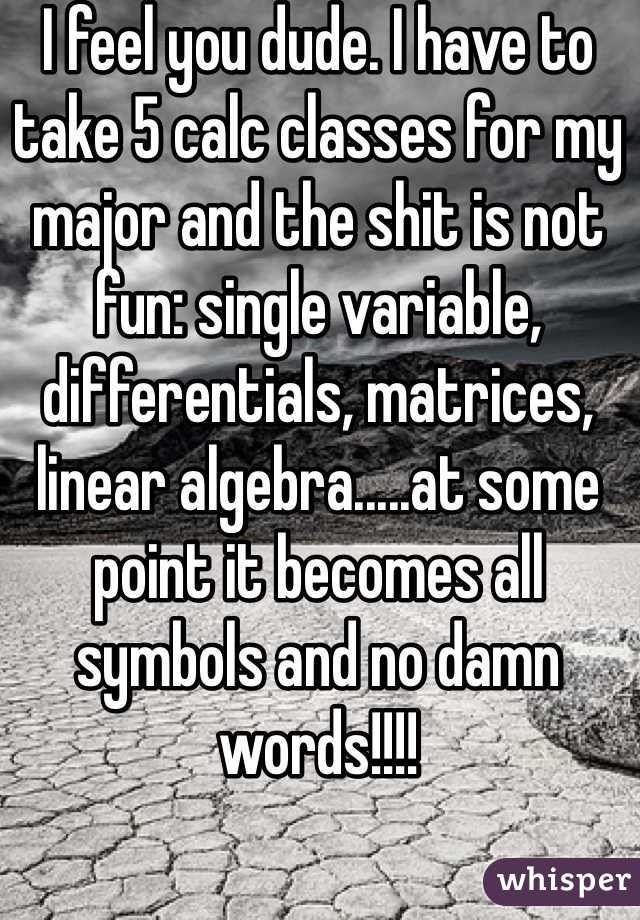 I feel you dude. I have to take 5 calc classes for my major and the shit is not fun: single variable, differentials, matrices, linear algebra.....at some point it becomes all symbols and no damn words!!!! 