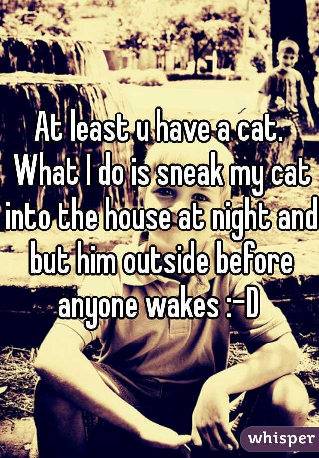 At least u have a cat. What I do is sneak my cat into the house at night and but him outside before anyone wakes :-D 