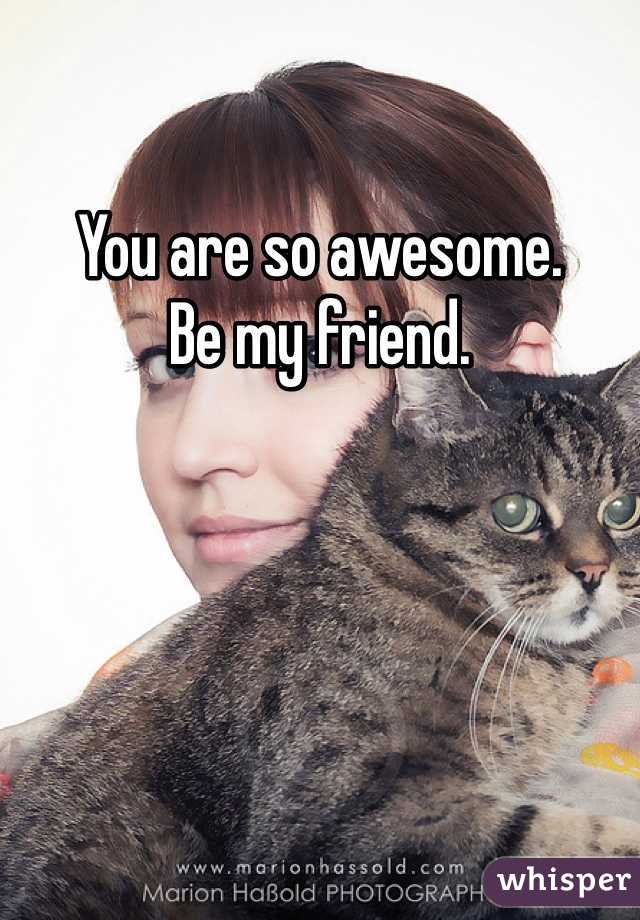 You are so awesome.
Be my friend.