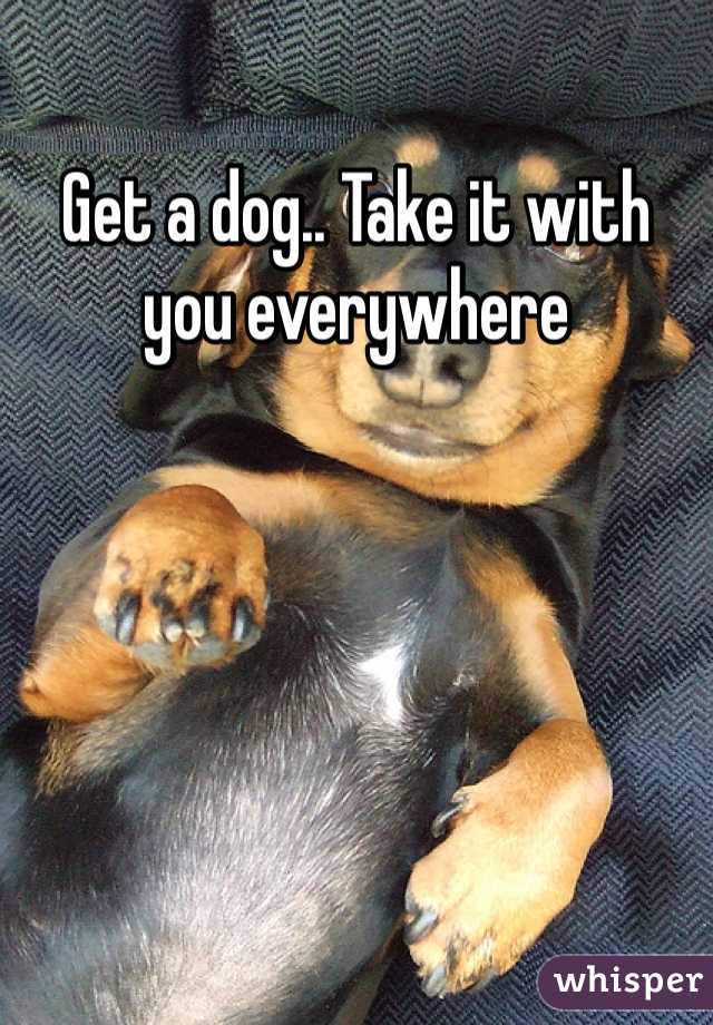 Get a dog.. Take it with you everywhere 
