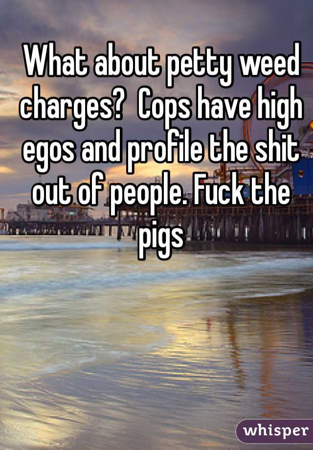 What about petty weed charges?  Cops have high egos and profile the shit out of people. Fuck the pigs