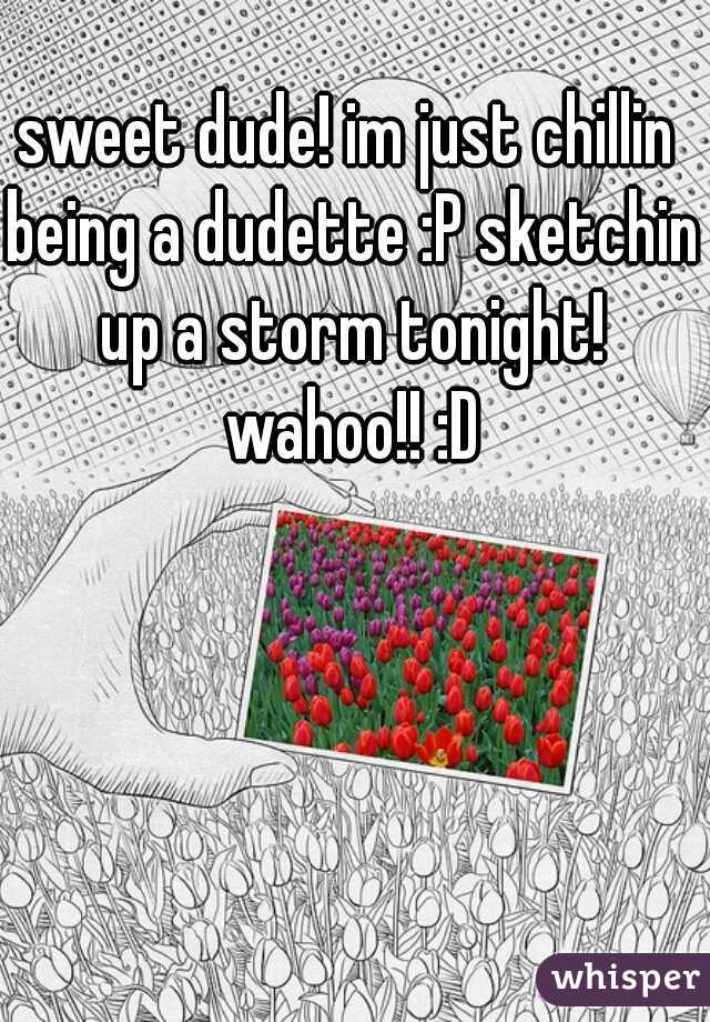 sweet dude! im just chillin being a dudette :P sketchin up a storm tonight! wahoo!! :D