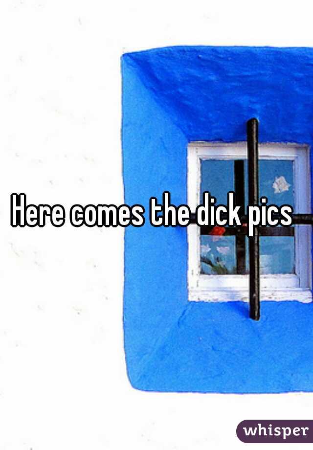 Here comes the dick pics 