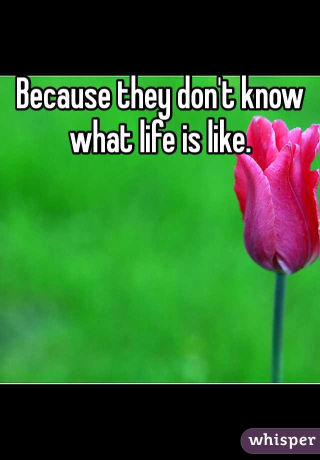 Because they don't know what life is like.