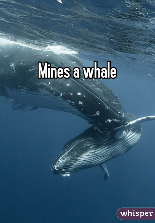Mines a whale 