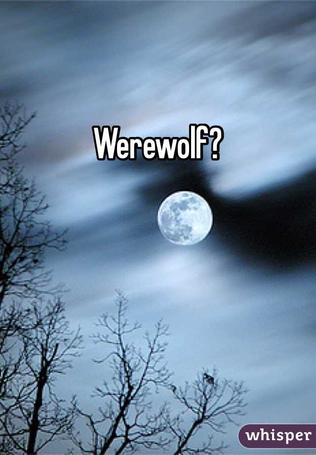 Werewolf?