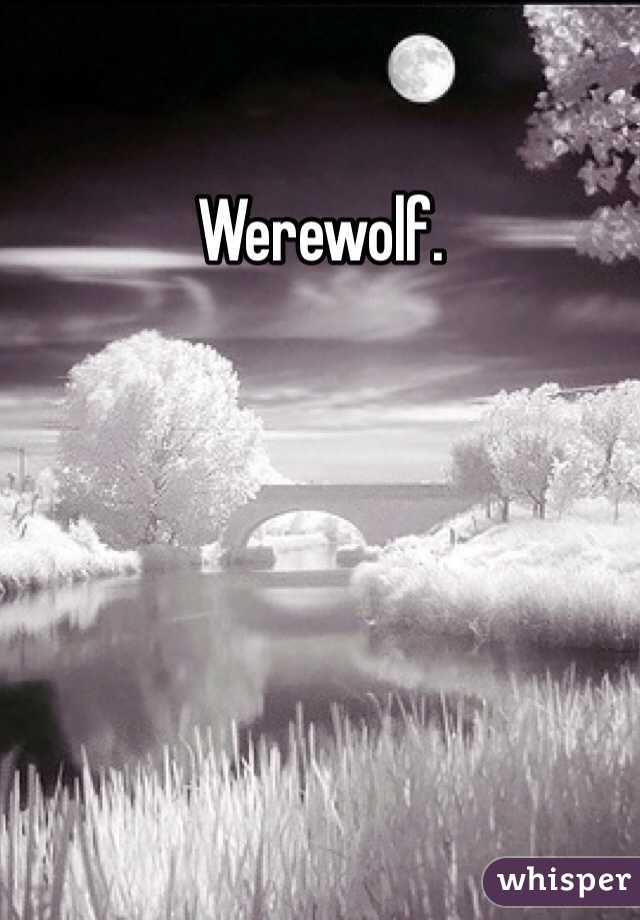 Werewolf.